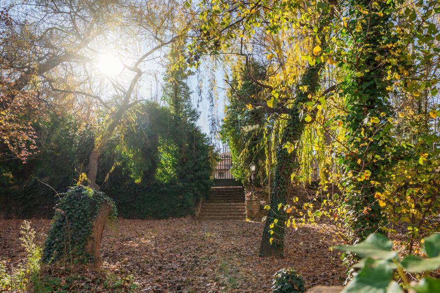La Escaleruela foto exterior del restaurante