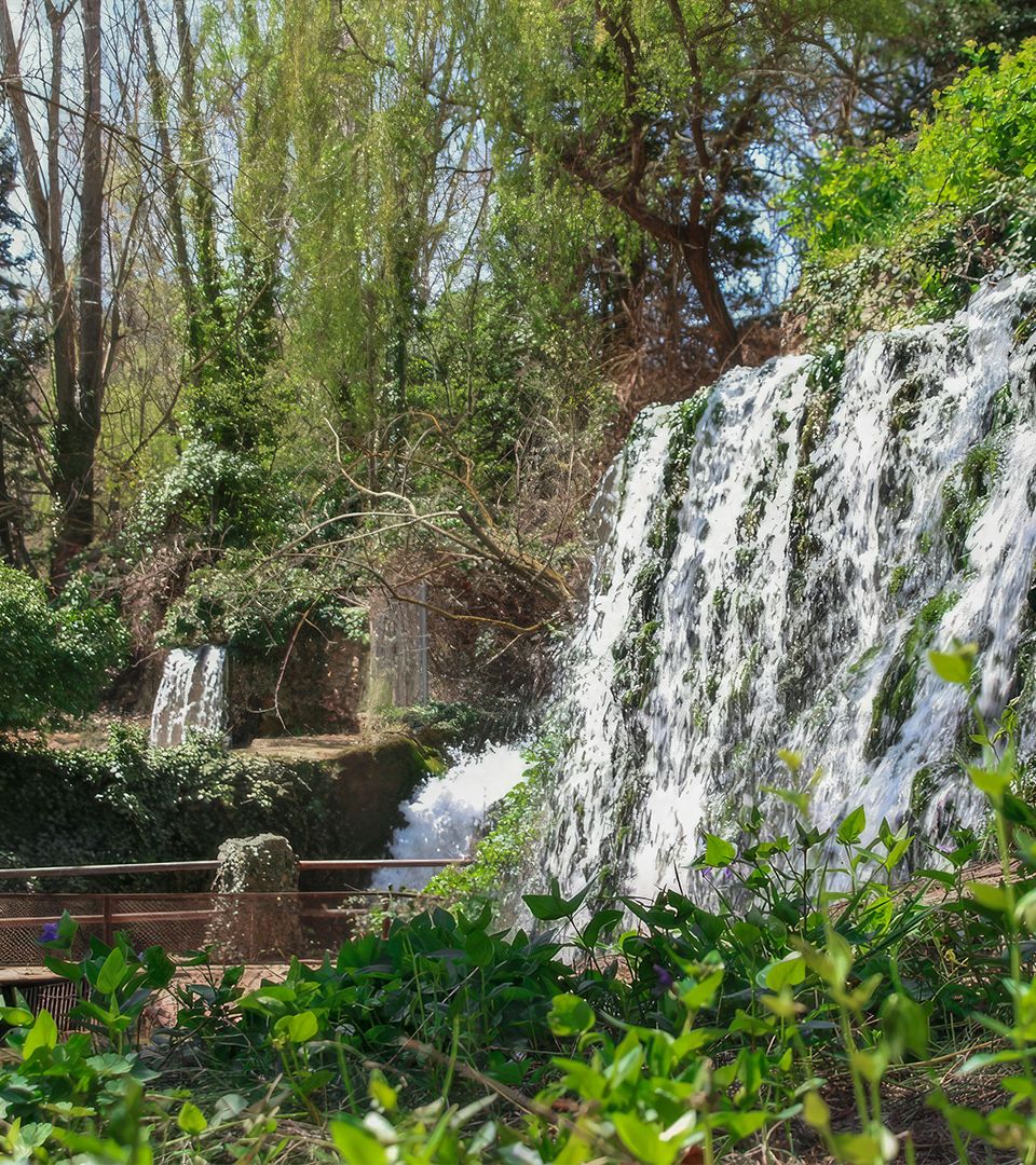 foto del restaurante